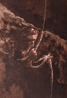 Rope 2
